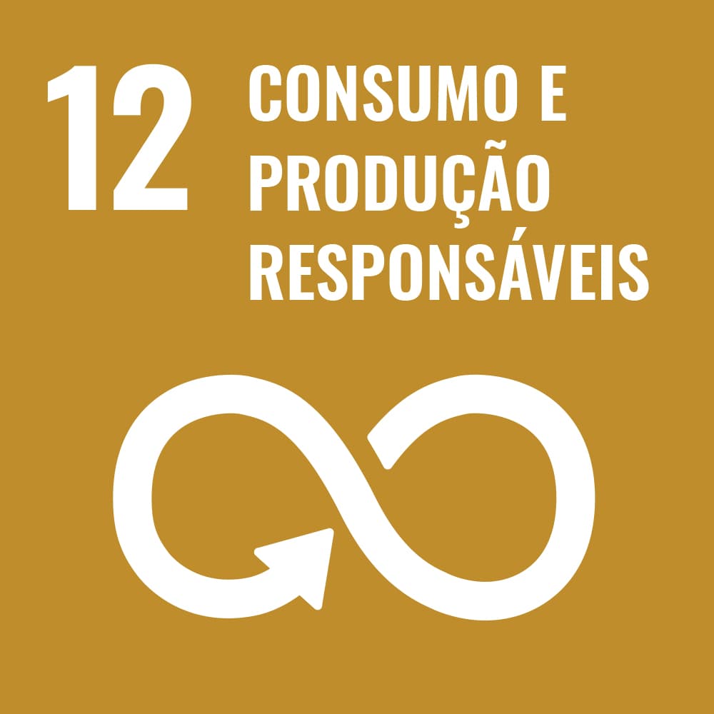 Consumo e produção responsáveis