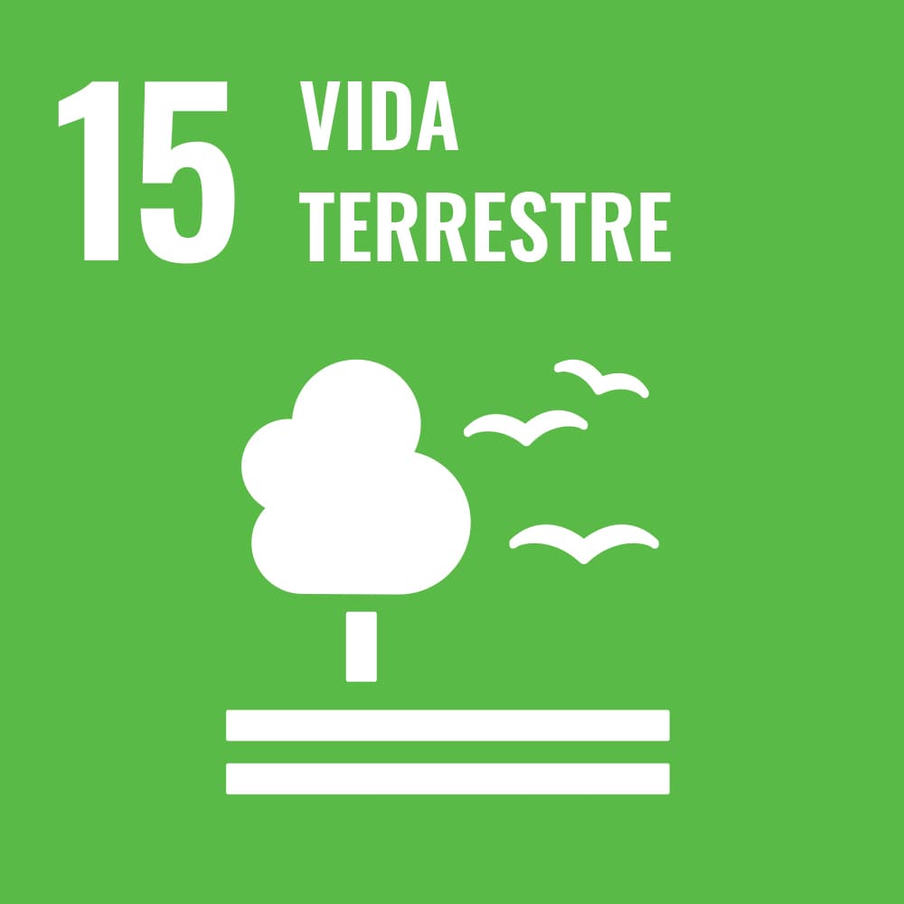 Vida terrestre